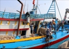Giá nhiên liệu tăng cao: Những chuyến ra khơi bị bỏ ngỏ